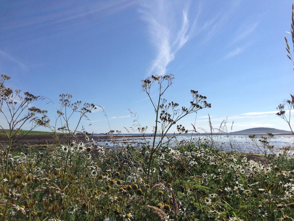 Woodwick House Bed & Breakfast Orkney Dış mekan fotoğraf